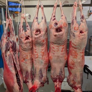 Farmer Butcher 1/8th Pack Beef