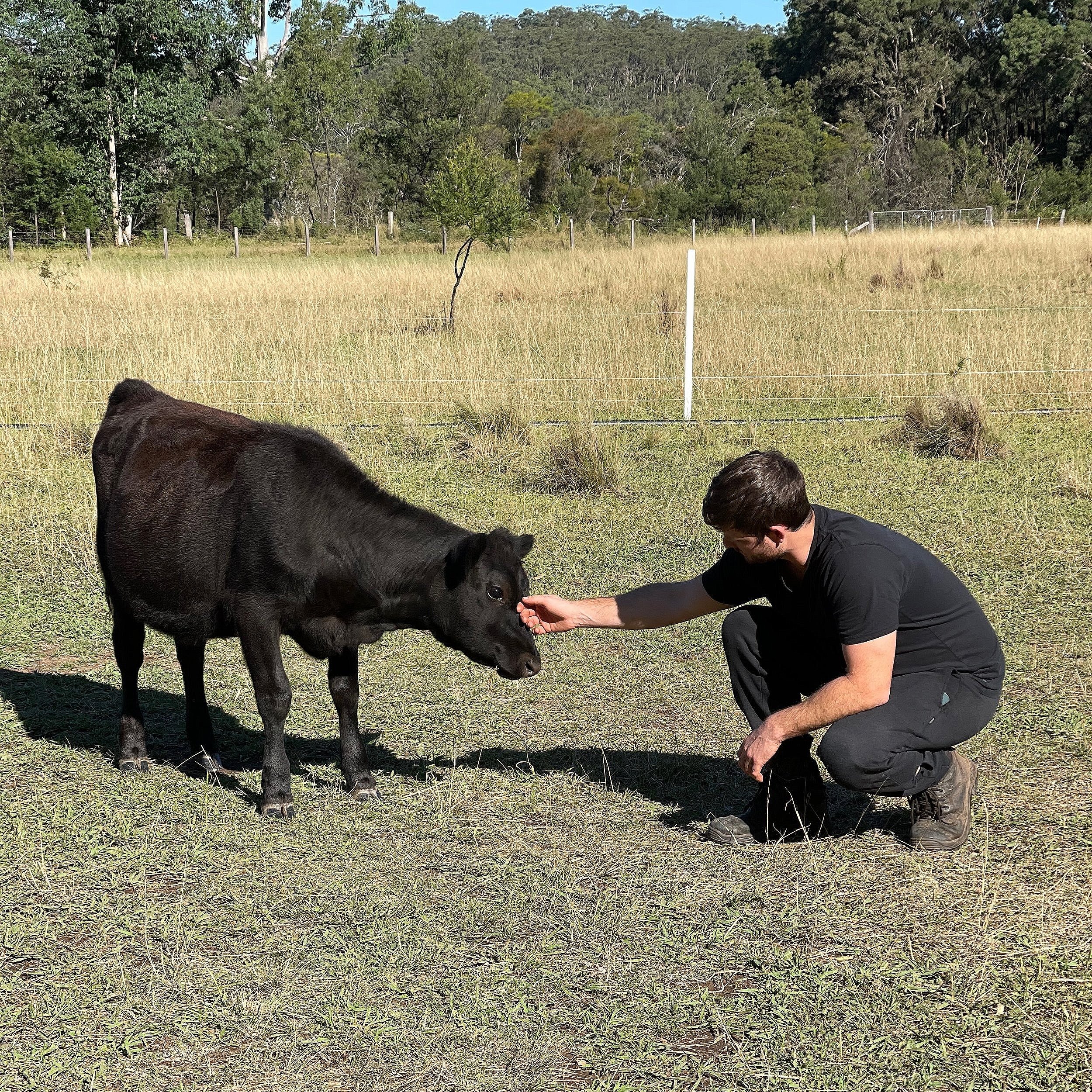 Hillside Food Forrest