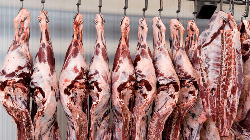 Southern Highlands Pasture Fed Angus Beef – 1/4th Beast