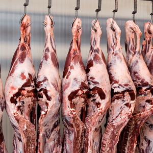 Southern Highlands Pasture Fed Angus Beef – 1/4th Beast