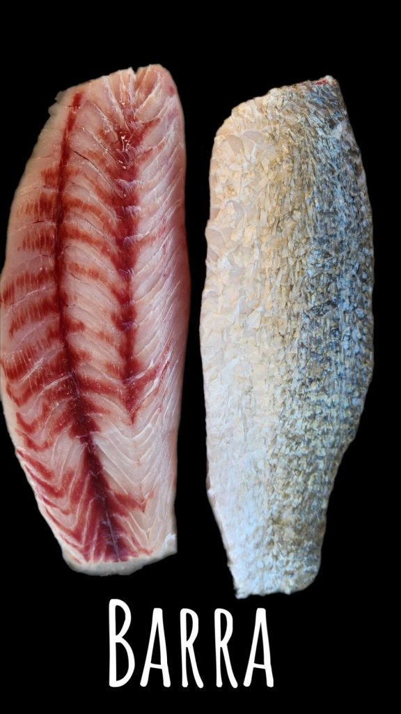 Wild Caught Barramundi ( Skin On ) 10kg