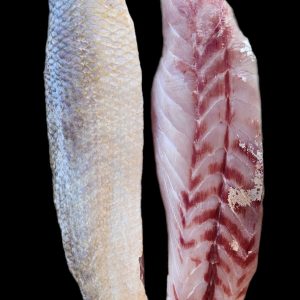 Wild Caught King Salmon ( Skin Off ) 5kg
