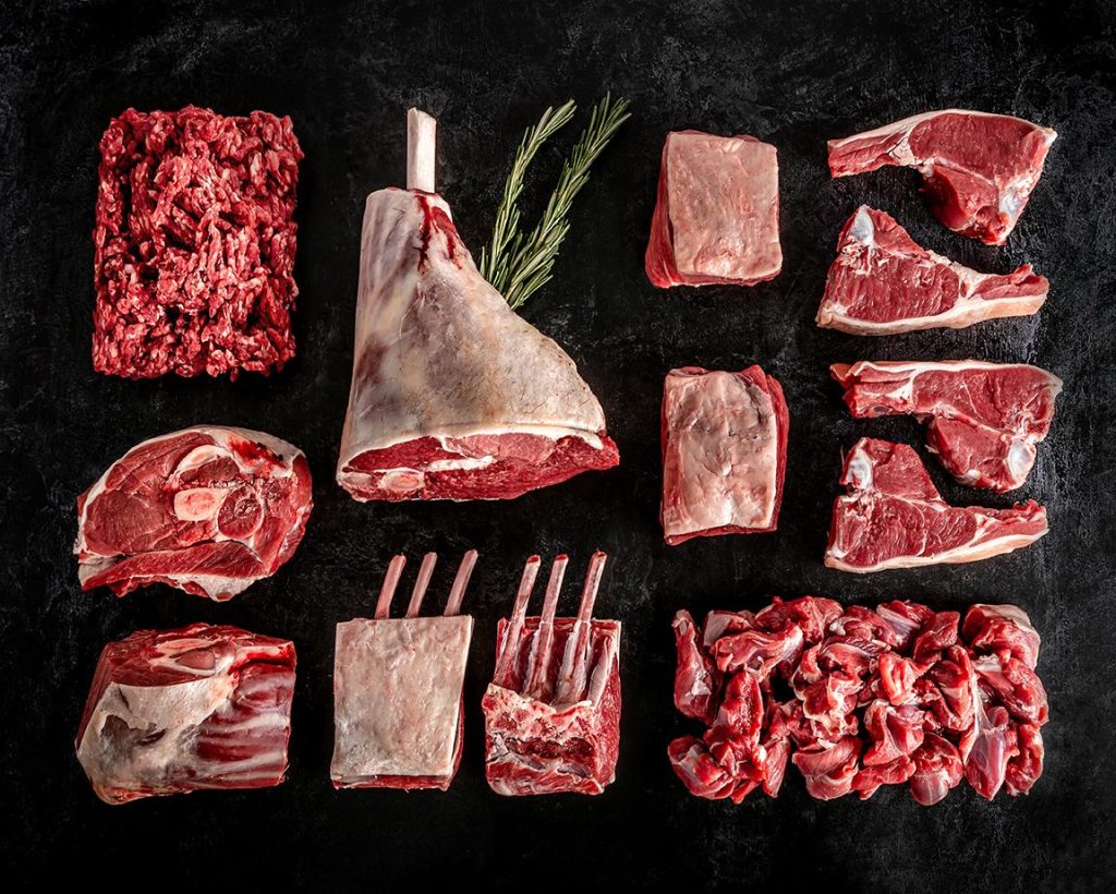 Carnivore Pack