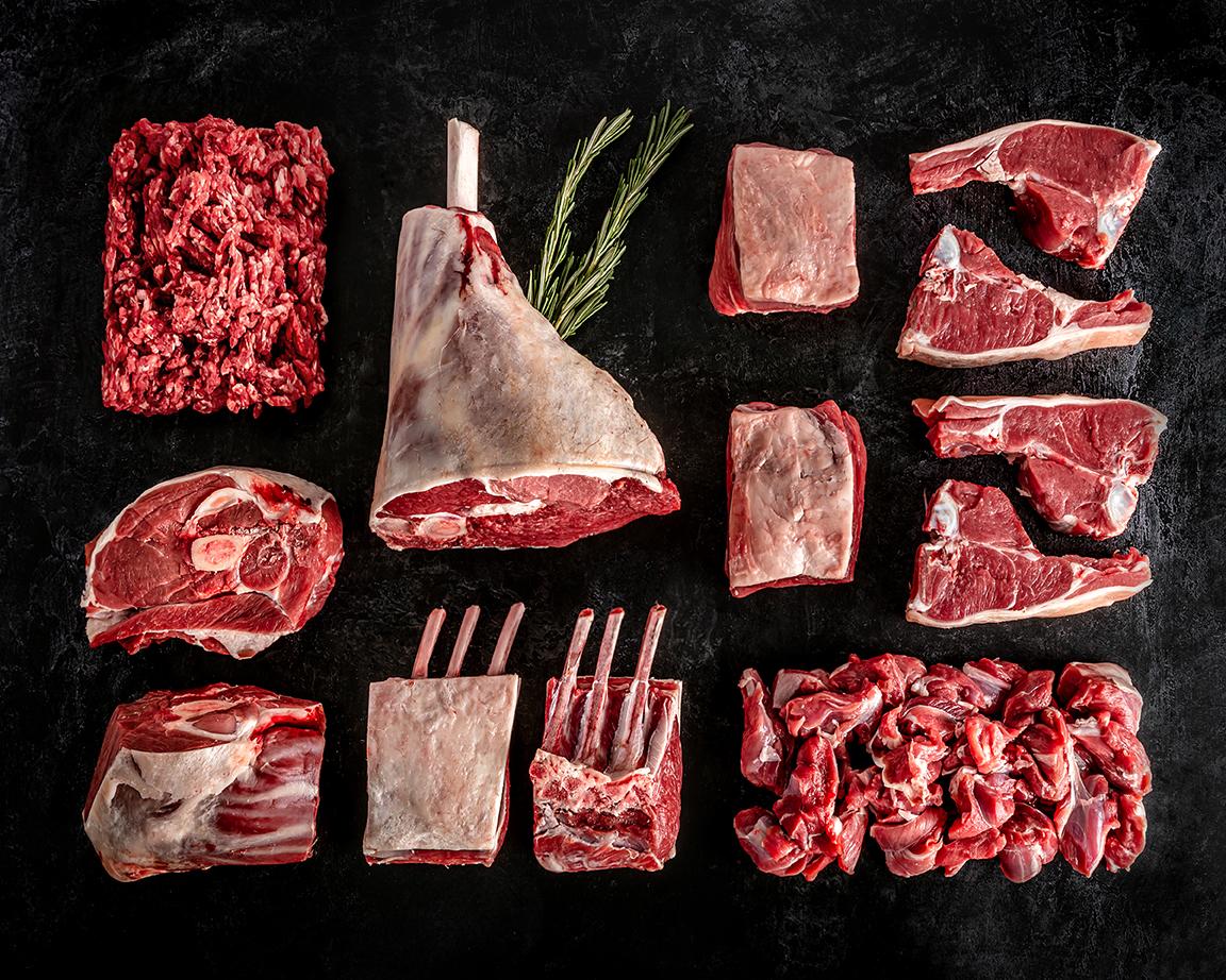 Carnivore Pack