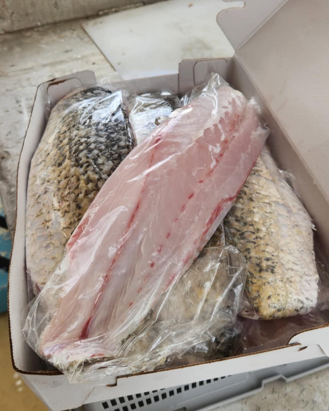 Wild Caught King Salmon ( Skin Off ) 5kg