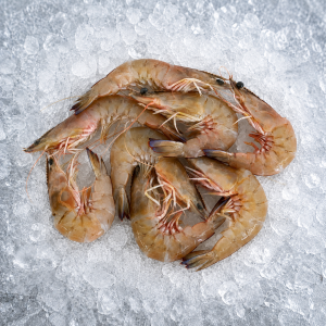 Wild Caught Green King Ocean Prawns