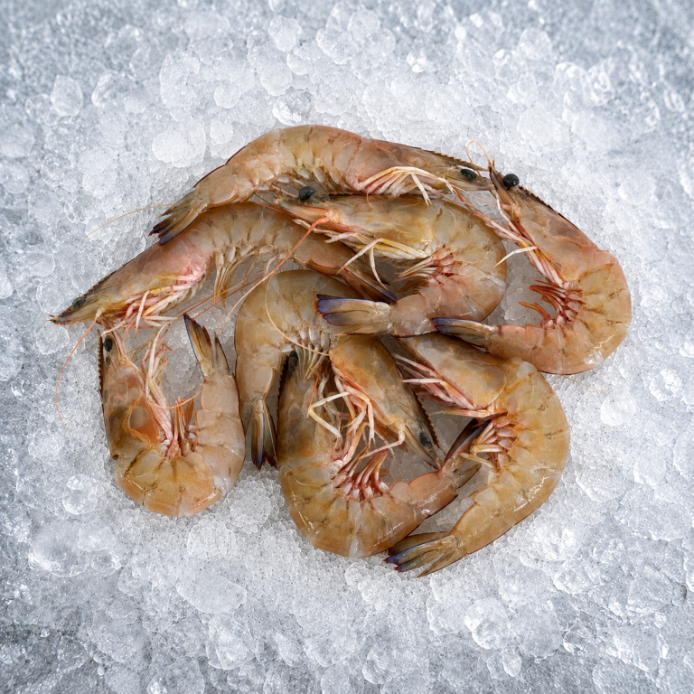 Wild Caught Green King Ocean Prawns