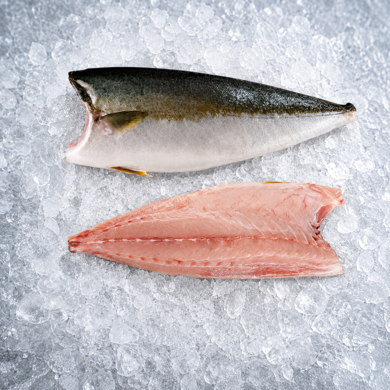 Wild Caught Yellow Tail Kingfish