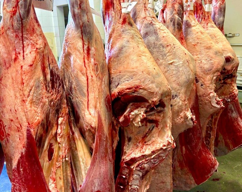Renewed harvest Half Pack Beef